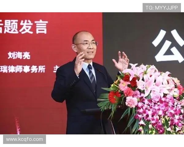 深圳飞盘队的运营体系与战术创新探索之路